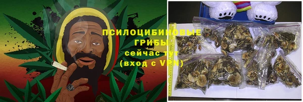 ПСИЛОЦИБИНОВЫЕ ГРИБЫ Алексин