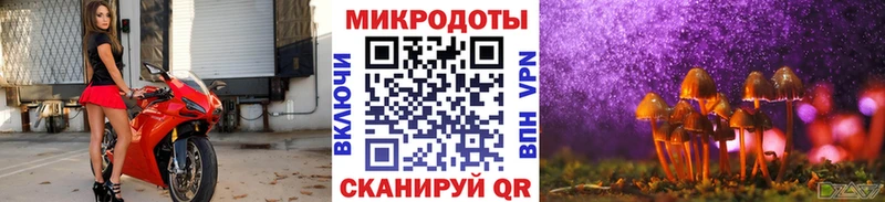 Галлюциногенные грибы Cubensis магазин дарк нет состав Бакал